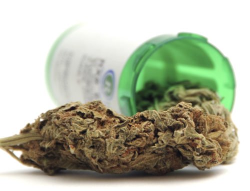 Help! The Marijuana Is Not Mine!